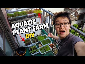 My DIY AQUATIC PLANT FARM!!