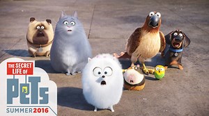 126K views · 7.2K reactions | Ever wonder what your pets do when you’re not home? Watch the brand new trailer TOMORROW! | The Secret Life Of Pets | Facebook
