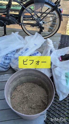 Collecting Large Planters and Bagged Soil Before Moving | Suita City, ¥11,000 (Incl. Tax) #Kannan...