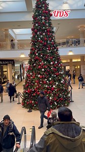 🎄 | UDS' - Utmost Driving Simulator