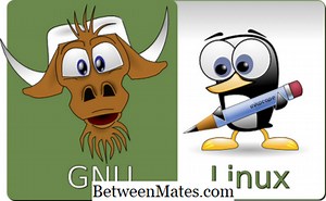 GNUとUnixの違い - その他 2026