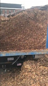 Isuzu NRR Diesel Dumpster Truck full of chopped up & packed leaves from Billy Goat Leaf Vacuum Work