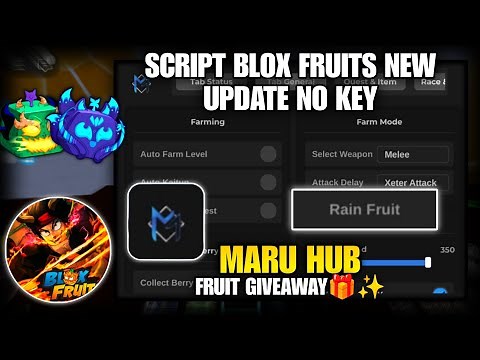 SCRIPT BLOX FRUITS NO KEY "MARU HUB" RAIN FRUIT, TRIAL RACE V4, LEVIATHAN, DRACO V4, AUTO MIRAGE