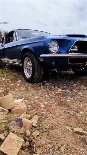 1.6K views · 50 reactions | 1968 Shelby Mustang GT500KR. Video Credits Hamza Bouberbouche #ShelbyGT500KR #1968Mustang #KingOfTheRoad #ClassicMuscle #VintageMustang #CobraJet | Hamza Classic Car | Facebook