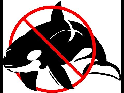 How to HACK Cisco Packet Tracer