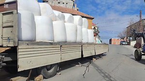 26K views · 505 reactions | Evolution de l'elevage laitier Dans le passer c'est la vache qui ramène sa nourriture de l'exterieur grâce au paturage libre De nos jours c'est l'aliment qui vient à la vache grâce aux nouvelles technique de conservation et de manutention des fourrages Des fourrages qui parvient du fin fond du desert @à la une Bienvenue au monde Agr Ecol https://youtu.be/kU18enbWLI4?si=zJab4Uo6s3mWL107 | Agr Ecol | Facebook