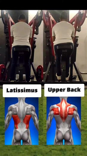 Latissimus Dorsi 🆚 Upper back#seated_row_machine #dietitian_clinic | Coach-Mo Youssef