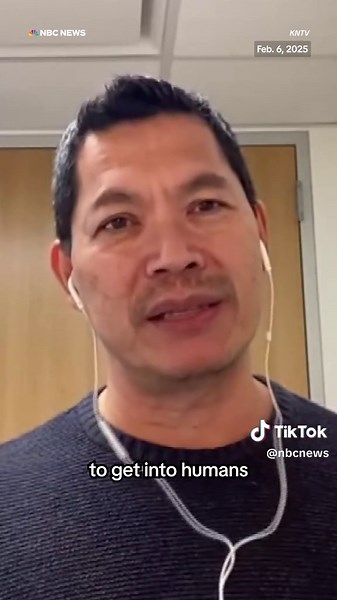 As #bird flu continues to drive up the price of #eggs, a new strain of the disease has been found in dairy #cows.