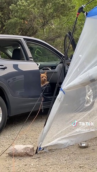 Bake 🇺🇸 (@baker_bo)’s videos with original sound - Bake 🇺🇸