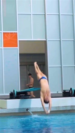 1m spring board Diving #diving #olympicsport #worldaquatics