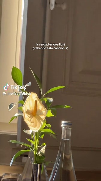 El poder de la protección y el amor familiar