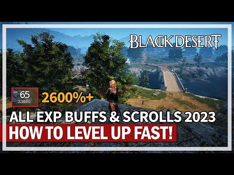 How to Level Up Fast & BEST EXP Scrolls & Buffs 2023 | Black Desert