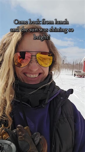 Life on the Apple Farm: A Sunny Day in the Orchard