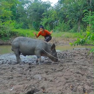 Cooking Pig Leg For Food | CookPro