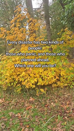 When disaster strikes, preparation is your strongest defense. Learn how to keep your home running and your family safe no matter what. #GridDownPrep #DisasterPreparedness #EmergencyPlanning #HomeSafety #SurvivalTips