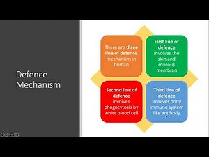 4.2.1 Body defence mechanism (Science Form 2)