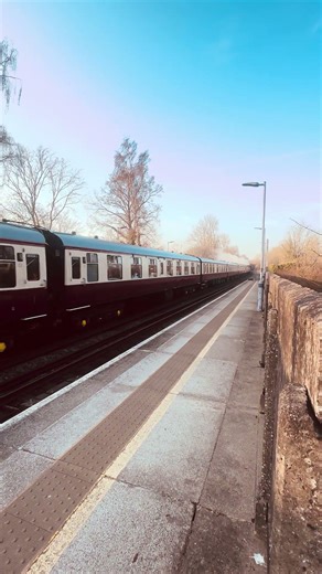 Braunton Steam Train ( Golden Arrow )