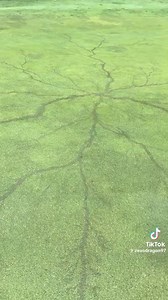 1.5K views · 50 reactions |  Look what happens when lightning strikes a golf course in Ohio! | Gage Goulding KPRC2 | Facebook