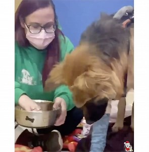 9.3K views · 601 reactions | ⚡️ PUPDATE - Lucas is One Step Closer to...