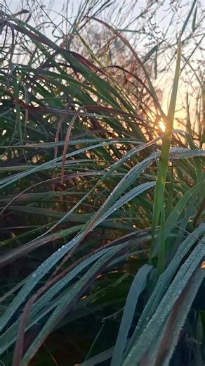 วิดีโอของ udomchairot (@udomchairot) พร้อมเพลง เสียงต้นฉบับ - สติสมาธิปัญญา