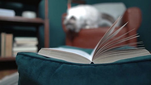 Telling Stories | Storytelling