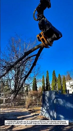 Hydraulic Grapple Saw Safely Removes Massive Tree Branches