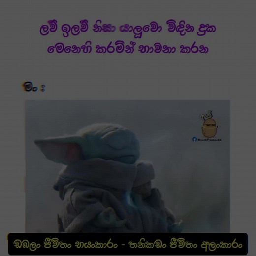 #statusvideo #fypシ #statusvideo #ඔබසැම👫මිතුරන්👫 #පන්නල___අපි🌎🌸