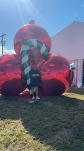 17K views · 166 reactions | Getting BIGGER by the day Shop Bigshinyballs.com 睊 #sculpture #artgallery #oddlysatisfying #artist #Artstudio #artinstallation | Big Shiny Balls | Facebook