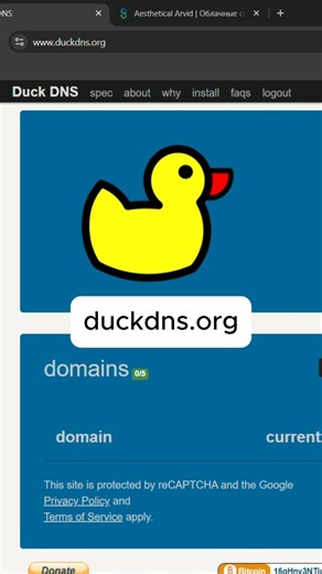 Free domain on Duck DNS