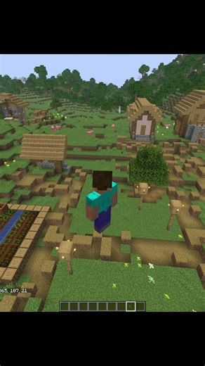 Minecraft Insane Commands Moment💀