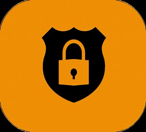 Security/Intrusion Detection