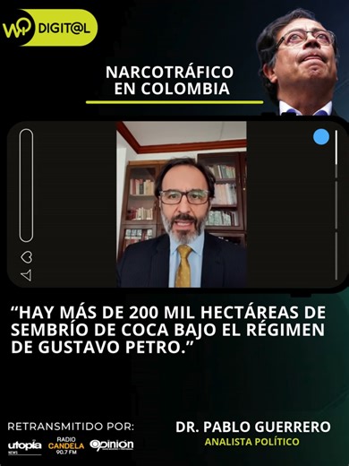 ✨ Hoy en WQ Noticias conversamos con el Dr. Pablo Guerrero Martínez, analista político, sobre la realidad del narcotráfico en Colombia. 🇨🇴 📌 Durante la entrevista, señaló un dato impactante: “Hay más de 200 mil hectáreas de sembrío de coca bajo el régimen de Gustavo Petro.” 👉 Un tema que abre debate y reflexión sobre el futuro de la región. #PabloGuerrero #AnalistaPolítico #Narcotráfico #Colombia #GustavoPetro #Hectáreas #Coca #WQNoticias