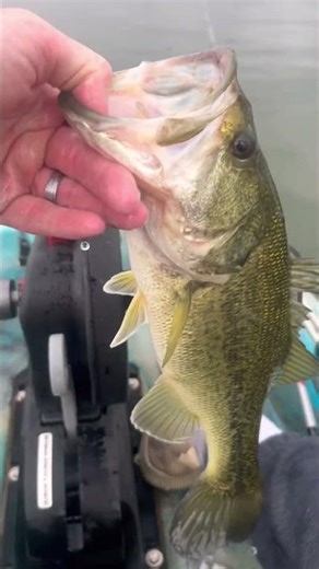 Canyon Lake Bass Kayak Tournament | My Big Bass 19” Tournament Big Bass 21.50”Storms March 7) 🎣🌩️