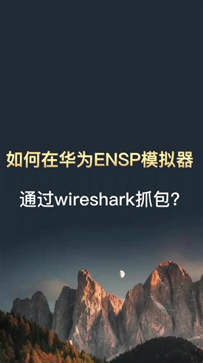 如何在华为ENSP模拟器中通过wireshark抓包？