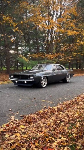 37K views · 1.2K reactions | 1969 Chevrolet Camaro RS/SS LS3 Pro-Touring Restomod from No Reserve Classics. #MuscleKingz #ChevroletCamaro #CamaroRS #ProTouring #Restomod #MuscleCar #ClassicCars #CarEnthusiast #NoReserveClassics #1969Camaro | MuscleKingz | Facebook