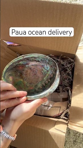 New Paua Shell Delivery 🌊✨ Ocean Treasure Unboxing