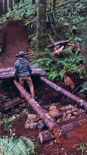 Weaving through the gully and working with the natural terrain. 🌲 #mtb #timelapse #trailbuilding