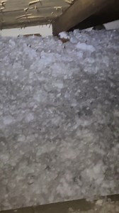 1.6K views · 20 reactions | This is a flying #squirrel job that we started yesterday afternoon, out in #Henrico, #Virginia. Www.VirginiaAnimalControl.Com | Virginia Wildlife Management and Control | Facebook