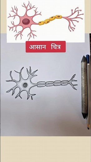 Easy Neuron Drawing #Drawing #class10