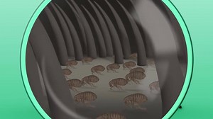 3.2K views · 82 reactions | Aplicar Frontline Plus es seguro, sencillo y efectivo. María José te explica cómo hacerlo: #MascotaProtegida #perros #gatos #mascotas #sabíasque #AmoAMiMascota #AmorVerdadero MARIAJOSE #Frontlineplus | NexGard México | Facebook