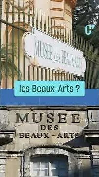Pourquoi les Beaux-Arts s'appellent les Beaux-Arts ? • FRANCE 24