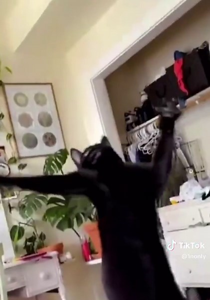 how this song got me feeling😩 (song: 1nonly - stardust) #1nonly #fypシ #viral #dance