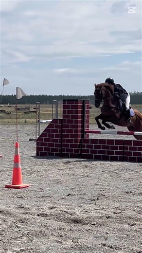 Beemers first competition 90 with me