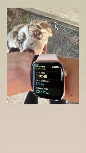 Get out there and stay active! Moderate intensity exercise: (such as brisk walking) for 150 minutes every week (for example, 30 minutes a day, 5 days a week). OR Vigorous-intensity aerobic activity: (such as jogging or running) for 75 minutes (1 hour and 15 minutes) every week https://www.cdc.gov/physicalactivity/basics/adults/index.htm #foryou #fitness #personaltrainer #studentdpt #dpt #puppy #summer # #miniaussiepuppy #girlandherdog