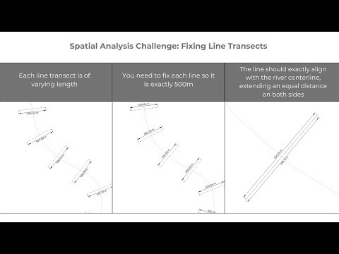 Spatial Analysis Challenge: Fixing Line Transects