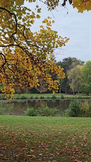 Autumn: The Season For Your Soul