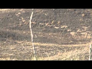 Predator Quest  - Nebraska Sandhills