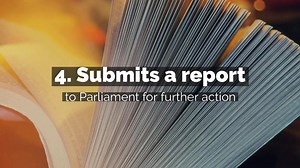 What in the world is a Parliamentary Select Committee? | The Workers' Party