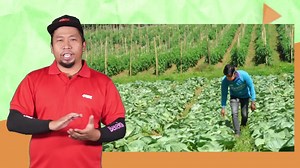 8.7K reactions · 407 shares | FMC Philippines on Reels | Facebook