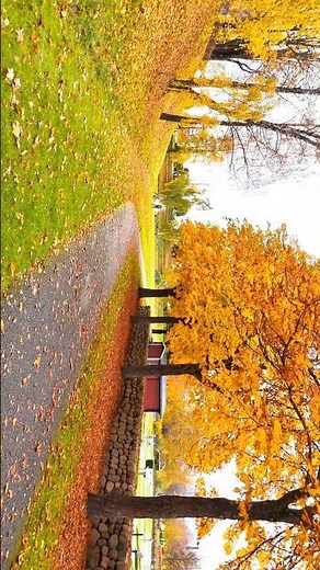 Colors of the Earth ✨#NatureAesthetic #MountainsCalling #AutumnVibes #EarthMood #ExploreMore
